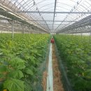 한운농장 이미지