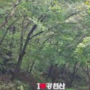 강천산군립공원 | 추석 연휴 나들이 코스 추천! 연휴 기간 입장료 무료 강천산 군립 공원 러닝 후기