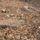 선부동 지석묘군 이미지