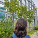벨류헤어 - 평택시 평남로 1052 | 벨류헤어