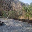 무릉도원면-24 이미지