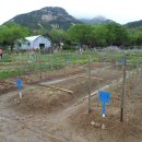 형재 농장 이미지