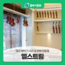 엘스트링 이미지