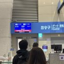 여자 혼자 홍콩 1박 2일, 1편ㅣ홍콩 국제 공항, 침사추이, 록예딤섬, 베이크 하우스, 하버시티