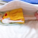 강보농장 이미지