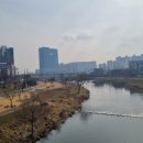 청학하늘정원