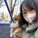 명동무역.번역 | 신논현v성형외과 의료통역 육아맘 취업 리얼 후기