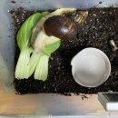 양한모이비인후과의원 이미지