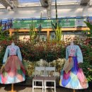 장미한복 이미지