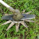 똘배농장 이미지