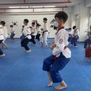 국가대표 에이스 태권도장 이미지