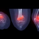 팔달쾌속한의원 이미지