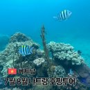 욜로비치 | 나트랑 여행 7월 8월 호핑투어 욜로 호핑 솔직 추천 후기