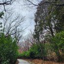 백양산 양묘장 이미지