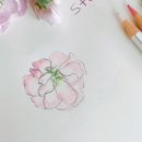 소소맘
