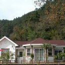 비피펜션 이미지