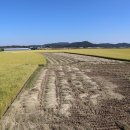 농협양곡(주) 안동라이스센터 | 2024년 ‘경북 6대 우수 브랜드 쌀’ 선정