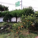 제주우유보급소 | 여기는 제주2