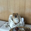 바이한림 이미지