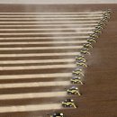 행렬농장 이미지