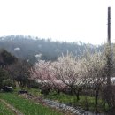 궁평농장 이미지