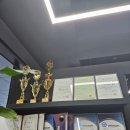 장보는강아지와 고양이 성성점 이미지