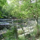 금류수퍼 이미지