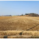 시종면사무소 이미지