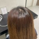 달미 | [둔촌동 미용실] 유비크 둔촌점 달미 디자이너 매트브라운 염색 후기