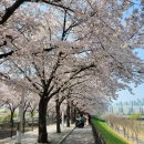 도림천역 이미지