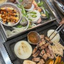 조개맛본돼지 이미지
