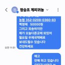 햇생강편강 한셋트만 판매(판매완료) 이미지