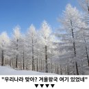 "국내 단 하나뿐인 맛집골목 인천에 있다"... 11월에 꼭 가볼만한 동인천 미식여행 이미지
