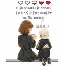 이래쿠션 | 여름에도 모공 실종? 티르티르 AI 필터 쿠션 21N 솔직후기 (feat. 커버 후 7시간/14시간 후 상태 설명)