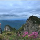 함지박골 이미지