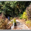 화가의정원 이미지