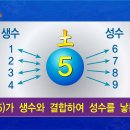 스퀘어(SQUARE) 이미지