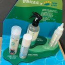 제주멍 | 제주도 애견동반 숙소 솔직후기 [한화리조트 제주 멍패커룸]