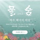 ㈜대양 | 제주도 아이랑 가볼만한곳 ‘제주 아쿠아플라넷’ 다녀왔어요!