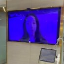 워시메카 | 통증없는 리프팅 듀얼튠페이스 강남역튠페이스 후기