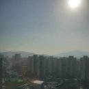 태성부동산공인중개사사무소 이미지