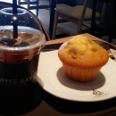 커피베이(coffee bay)