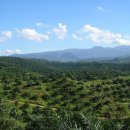 우림농장 이미지