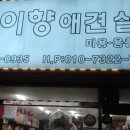 가을애견미용실 네이버블로그