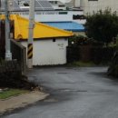 이호그린 이미지