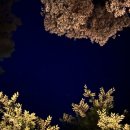 요기는캠핑장 이미지