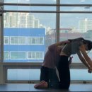 필라햅 스튜디오