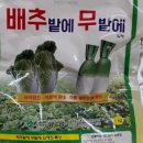 황금농약사 이미지
