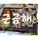 제주 새별오름과 금악마을 오겹살 투어 ! 이미지