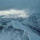 그린종합동물병원 이미지